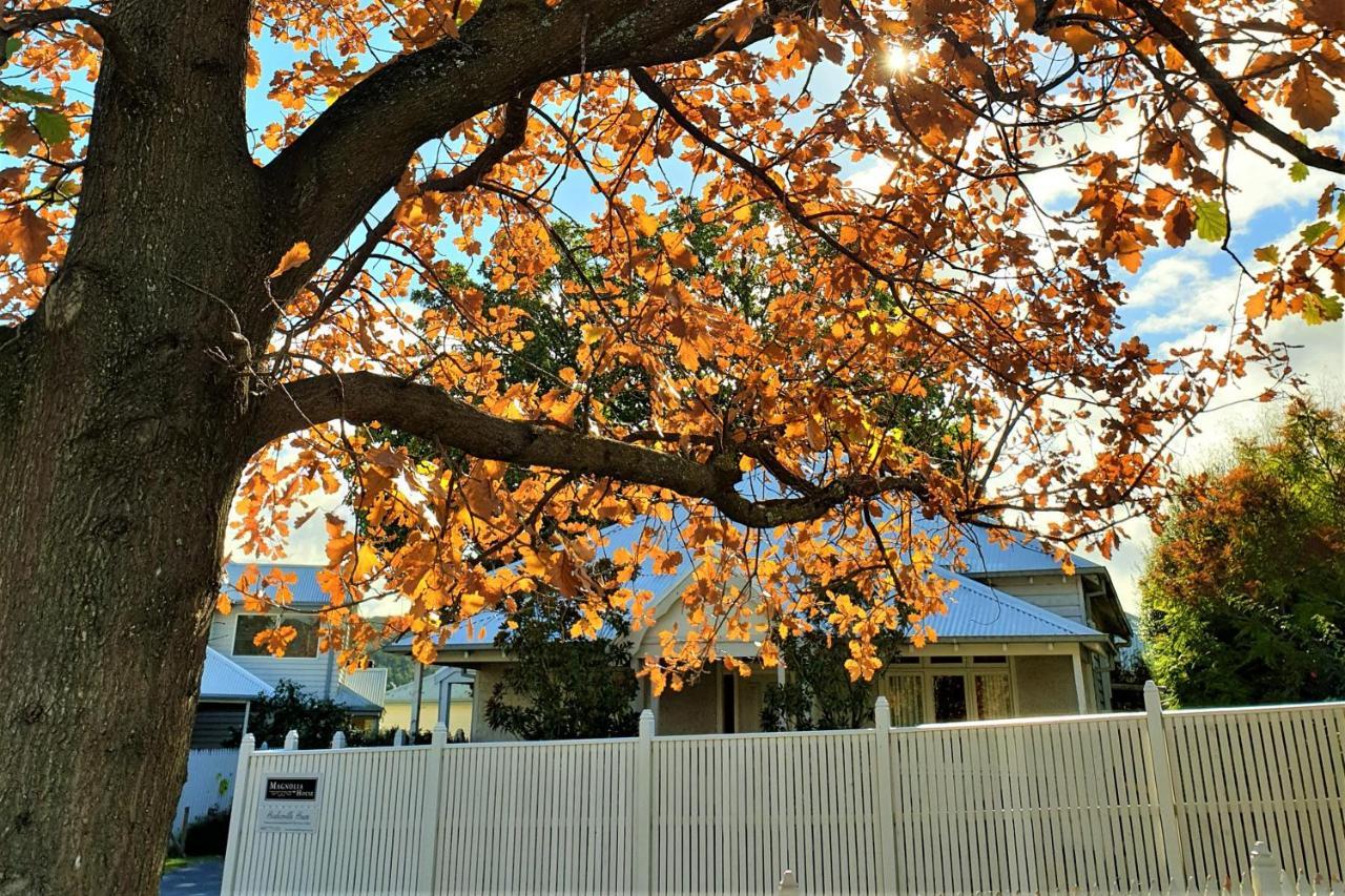 Healesville House - Magnolia House מראה חיצוני תמונה